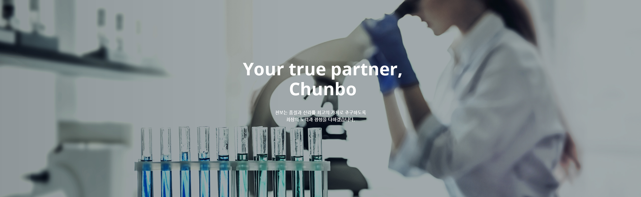 Your true partner, Chunbo