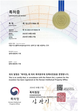 리튬 비스(플루오로설포닐)이미드 용액 및 이를 포함하는 전지